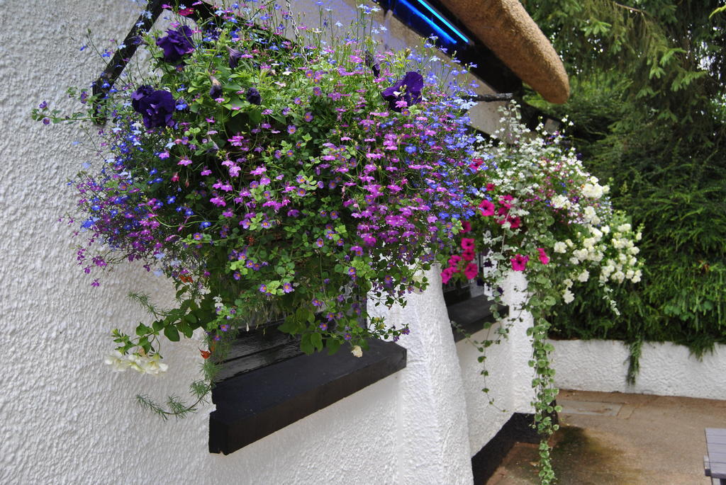 The Trout Inn Tiverton  Eksteriør bilde